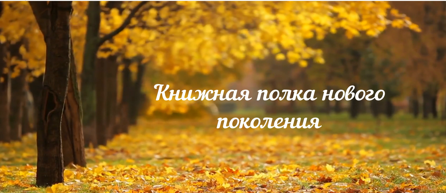 Жаңа буынның кітап сөресі